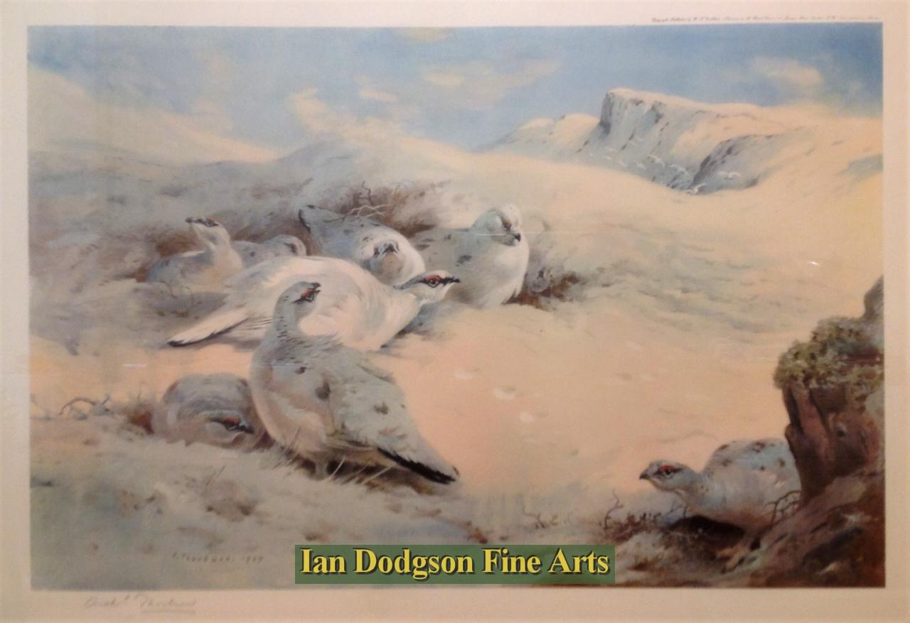 Ptarmigan in winter by Archibald Thorburn