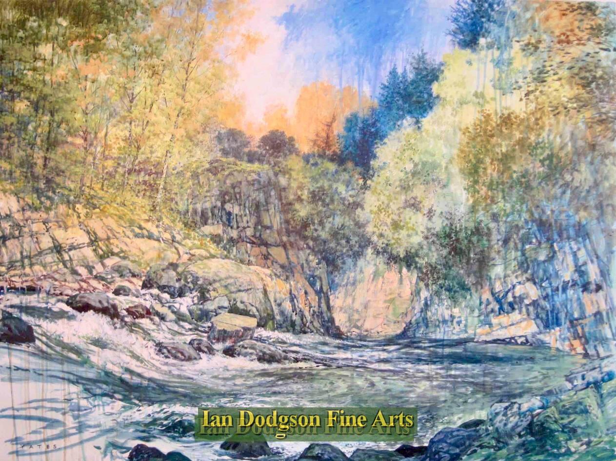Jeremy Yates - Downstream, Afon Machno Acrylic on panel (c2016)