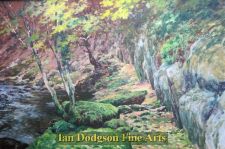 Lichen and Leaves (Ogwen) by Jeremy Yates